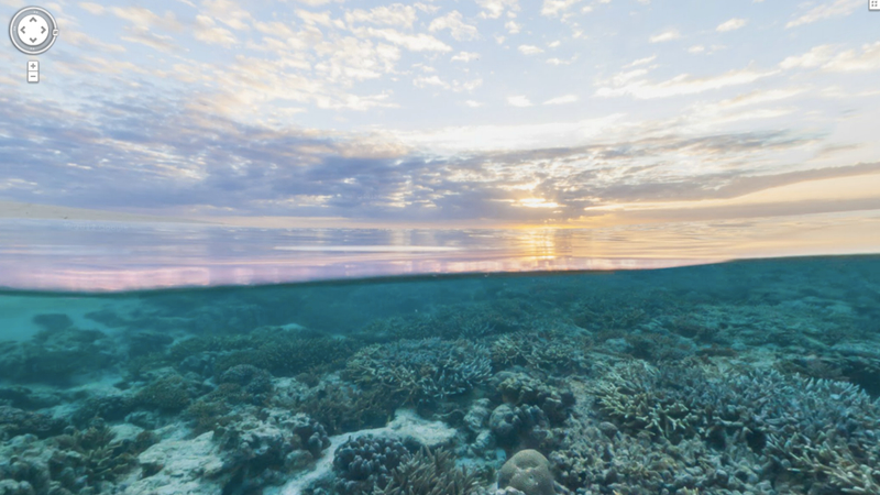 Illustration for article titled Google launches underwater Street View, blows everyone's goddamn mind